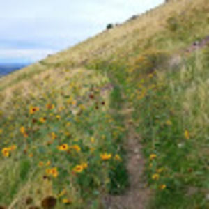 Meet your Posher, Tod